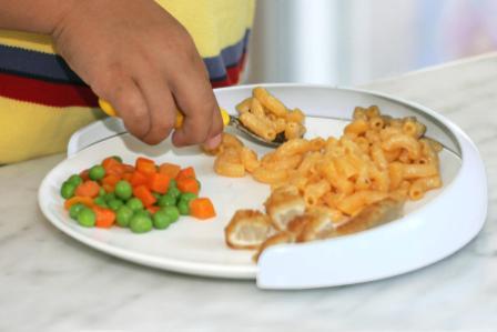 ADAPTIVE DINING PLATE GUARDS