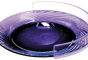 Large Clear Plate Guard